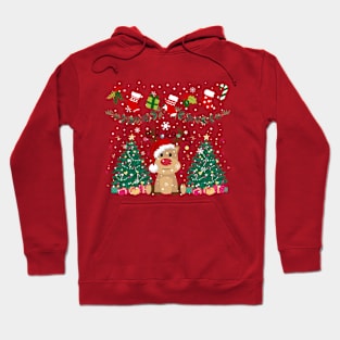 Xmas Hoodie